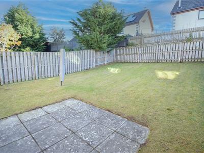 Picture 13
